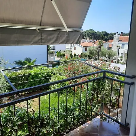Apartment Premium Sunny